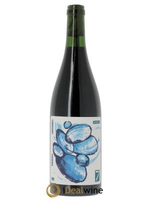 Barbera d'Asti DOC Nizza Sette