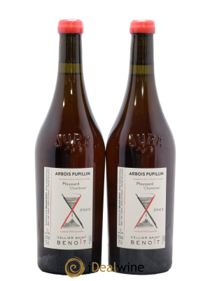 Arbois-Pupillin Ploussard Chambines Cellier Saint Benoît