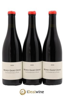 Morey-Saint-Denis Les Champs de la Vigne Qvevris Domaine de Chassorney - Frédéric Cossard