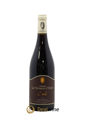 Pays d'Hérault L'Enclos Terrasse d'Elise (Domaine de la)