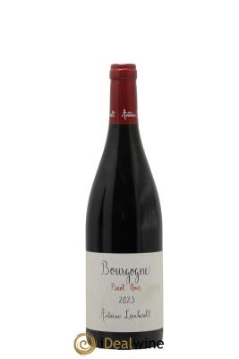Bourgogne Pinot Noir Antoine Lienhardt