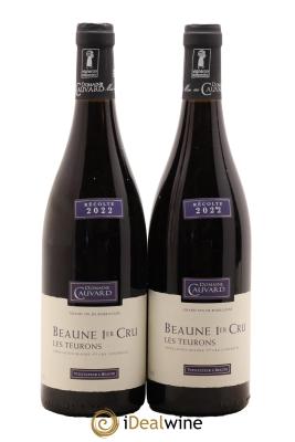 Beaune 1er Cru Les Teurons Cauvard
