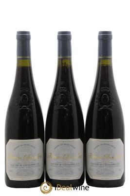 Saumur-Champigny Terres Chaudes Domaine des Roches Neuves - Thierry Germain