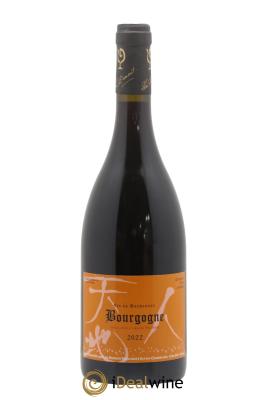 Bourgogne Lou Dumont