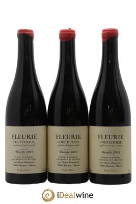Fleurie Coup d'Folie Yann Bertrand