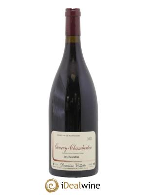 Gevrey-Chambertin Les Evocelles Domaine Collotte