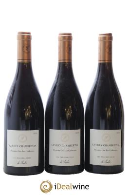 Gevrey-Chambertin 1er Cru Les Corbeaux Les Parcellaires de Saulx