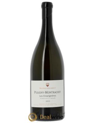 Puligny-Montrachet Les Enseignères Thomas-Collardot (Domaine) 