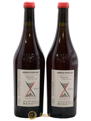 Arbois-Pupillin Ploussard Côte de Feule Cellier Saint Benoît