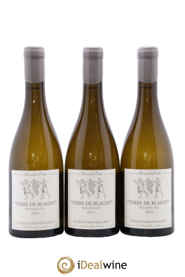 Puligny-Montrachet 1er Cru Sous le Puits Terre de Blagny Benoit Ente