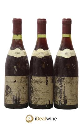 Morey-Saint-Denis 1er Cru Domaine Jean Paul Magien