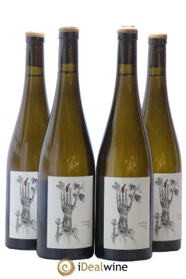 Alsace Sylvaner Hohrin Les Vins du Mardi Soil Therapy