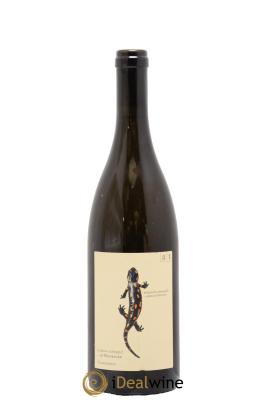 Autriche Salamander Chardonnay Morillon Andreas et Elisabeth Tscheppe