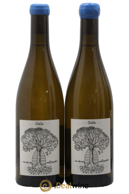 Muscadet-Sèvre-et-Maine Gaia Jérôme Bretaudeau - Domaine de Bellevue