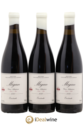 Vinos Atlanticos - Islas Canarias Migan Envinate