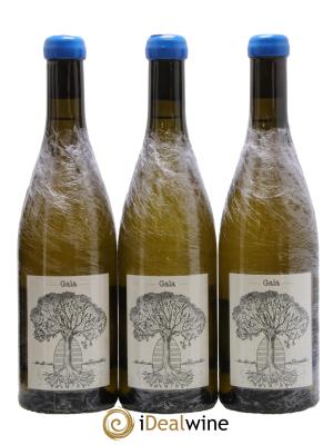 Vin de France Gaïa Jérôme Bretaudeau - Domaine de Bellevue