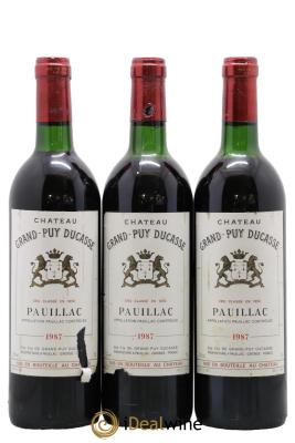 Château Grand Puy Ducasse 5ème Grand Cru Classé