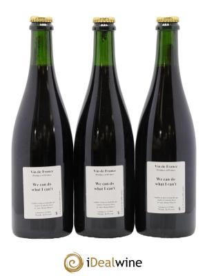 Vin de France We Can Do What I Can't Anders Frederik Steen