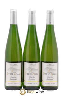Alsace Pinot Gris Katzenstegel Cuvée Théo Domaine Pierre Adam