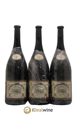 Chinon Clos de l'Echo Couly-Dutheil