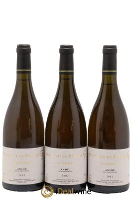 Anjou La Chapelle Château De Fesles Bernard Germain