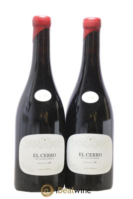 Bierzo DO El Cerro De Valdecanada R Perez