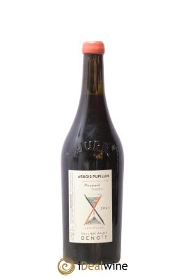 Arbois-Pupillin Ploussard Viandris Cellier Saint Benoît