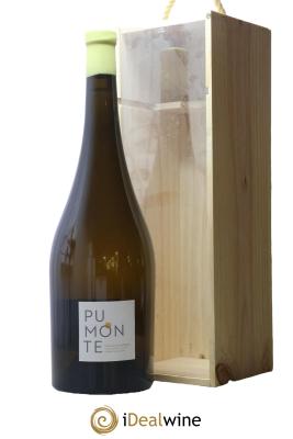 Vin de Corse Calvi Pumonte Domaine Alzipratu