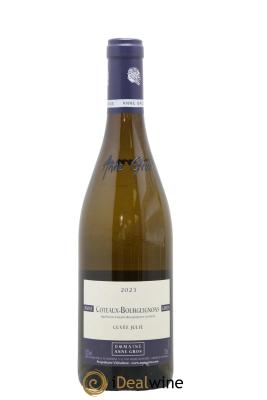 Coteaux Bourguignons Cuvée Julie Anne Gros
