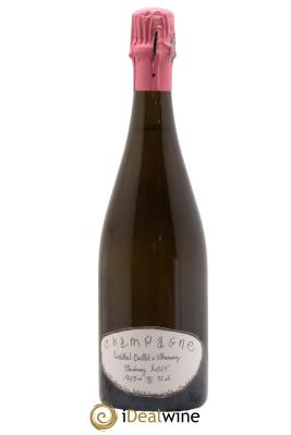 Chardonnay Pontillart-Baillet - Bastien Pontillart