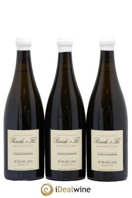 Coteaux Champenois Aÿ Blanc Grand Cru Bérêche et Fils