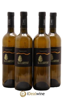 IGT Venezia Giulia Sauvignon Il Carpino