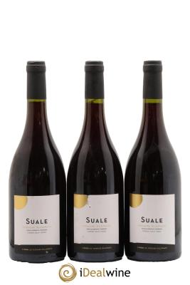 Calvi Suale Domaine Alzipratu