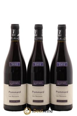 Pommard Les Noizons Cauvard