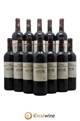 Château Cambon la Pelouse Cru Bourgeois