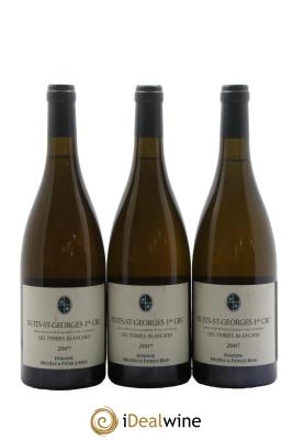 Nuits-Saint-Georges 1er Cru Les Terres Blanches Patrice Rion (Domaine)