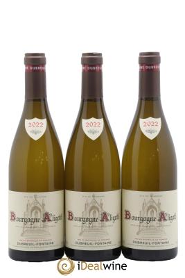 Bourgogne Aligoté Domaine Dubreuil Fontaine