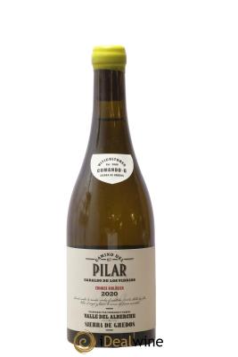 Vinos de Madrid DO Comando G Camino Del Pilar