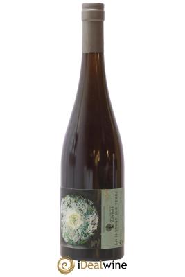 Alsace Un instant sur terre Vignoble du Rêveur