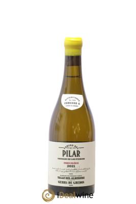 Vinos de Madrid DO Comando G Camino Del Pilar