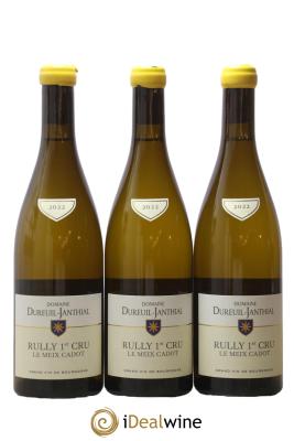 Rully 1er Cru Le Meix Cadot Vincent Dureuil-Janthial