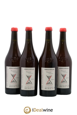 Arbois-Pupillin Ploussard Chambines Cellier Saint Benoît