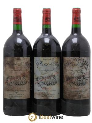 Château La Tour de By Cru Bourgeois