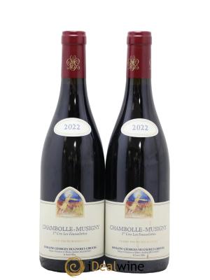 Chambolle-Musigny 1er Cru Les Feusselottes Mugneret-Gibourg (Domaine)