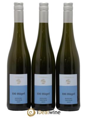 Allemagne Rheinhessen Riesling Trocken 100 Hugel Wittmann