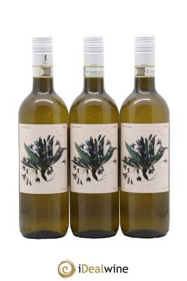 Italie Romagna Delyus Albana Secco Marta Valpiani