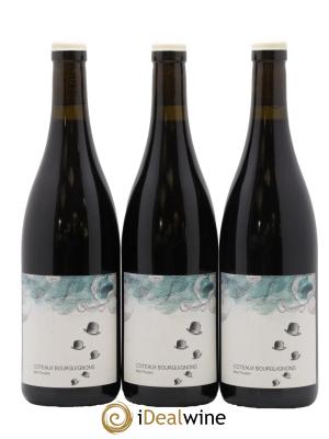 Coteaux Bourguignons Mon Poulain Les Horées