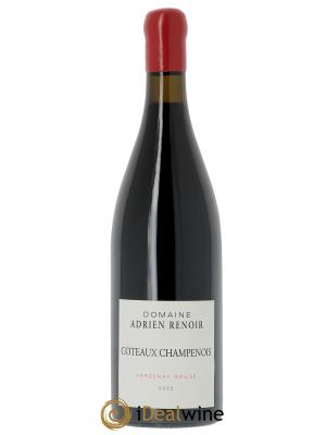 Coteaux Champenois Verzenay Adrien Renoir