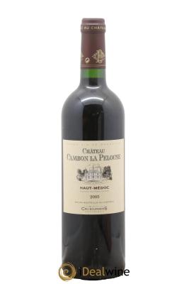 Château Cambon la Pelouse Cru Bourgeois