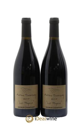 Saumur-Champigny Les Poyeux Antoine Sanzay